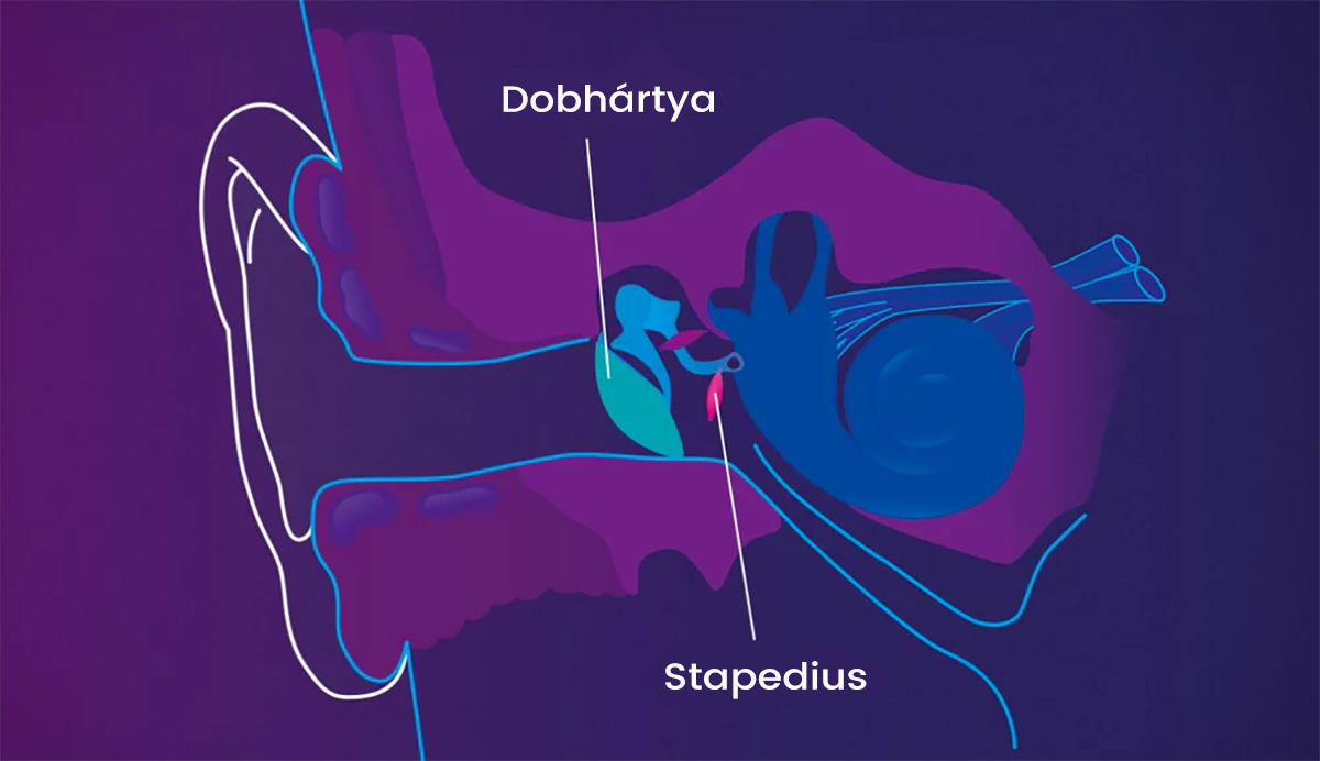 Hogy zajlik a vizsgálat?